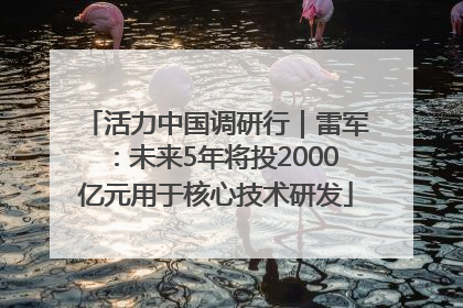 活力中国调研行｜雷军：未来5年将投2000亿元用于核心技术研发