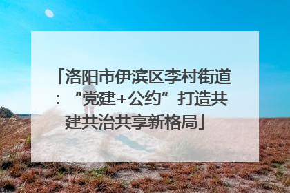 洛阳市伊滨区李村街道：“党建+公约”打造共建共治共享新格局