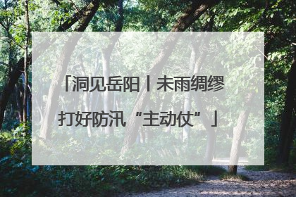 洞见岳阳丨未雨绸缪 打好防汛“主动仗”