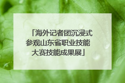 海外记者团沉浸式参观山东省职业技能大赛技能成果展