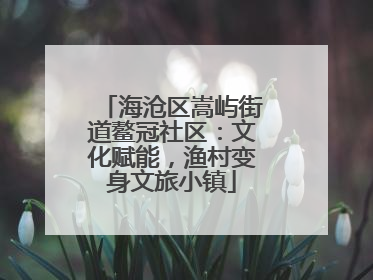 海沧区嵩屿街道鳌冠社区：文化赋能，渔村变身文旅小镇