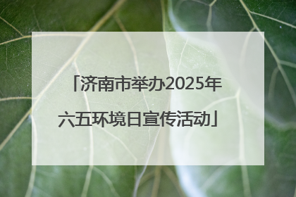 济南市举办2025年六五环境日宣传活动