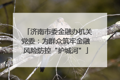 济南市委金融办机关党委：为群众筑牢金融风险防控“护城河”