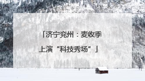 济宁兖州：麦收季上演“科技秀场”