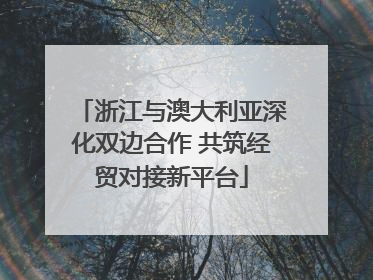 浙江与澳大利亚深化双边合作 共筑经贸对接新平台