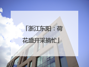 浙江东阳：荷花盛开采摘忙