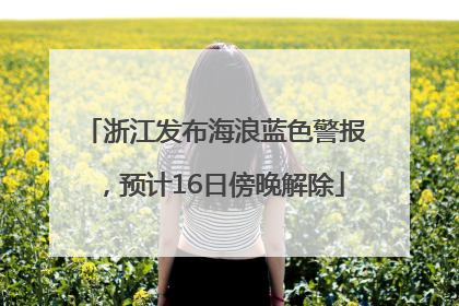 浙江发布海浪蓝色警报，预计16日傍晚解除