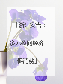 浙江安吉：多元夜间经济促消费