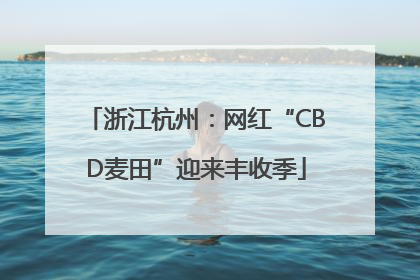 浙江杭州：网红“CBD麦田”迎来丰收季