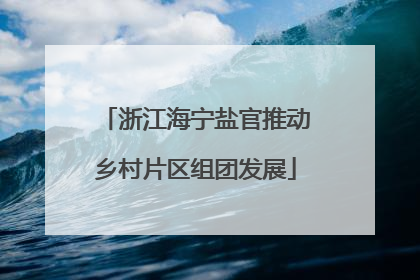 浙江海宁盐官推动乡村片区组团发展