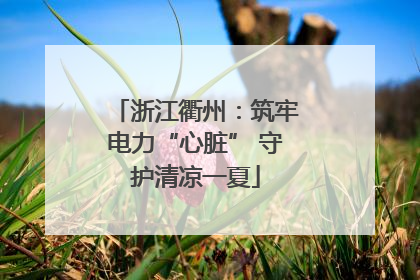 浙江衢州：筑牢电力“心脏” 守护清凉一夏