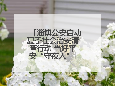 淄博公安启动夏季社会治安清查行动 当好平安“守夜人”