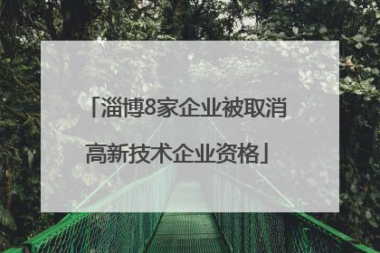 淄博8家企业被取消高新技术企业资格