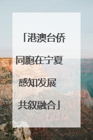 港澳台侨同胞在宁夏感知发展 共叙融合