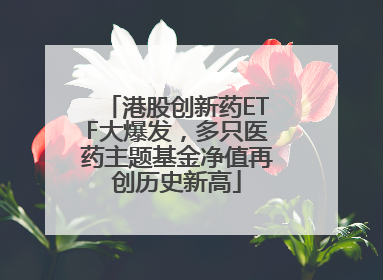 港股创新药ETF大爆发，多只医药主题基金净值再创历史新高