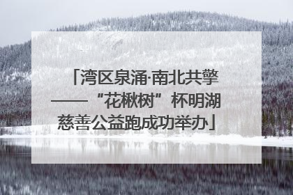 湾区泉涌·南北共擎——“花楸树”杯明湖慈善公益跑成功举办