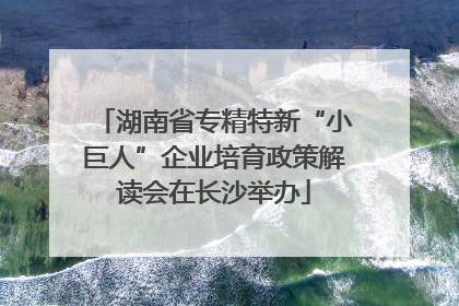湖南省专精特新“小巨人”企业培育政策解读会在长沙举办