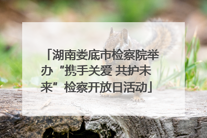 湖南娄底市检察院举办“携手关爱 共护未来”检察开放日活动