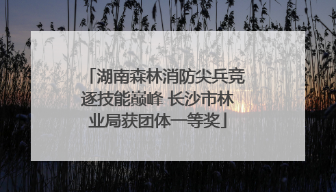 湖南森林消防尖兵竞逐技能巅峰 长沙市林业局获团体一等奖