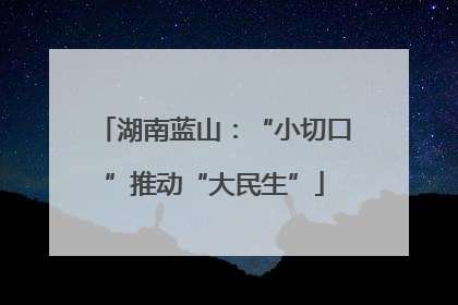 湖南蓝山：“小切口”推动“大民生”