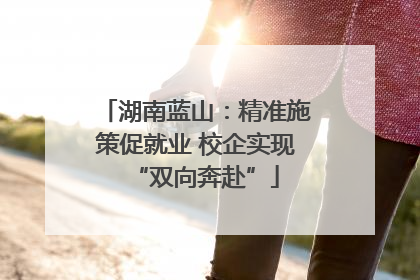 湖南蓝山：精准施策促就业 校企实现“双向奔赴”