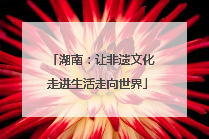 湖南：让非遗文化走进生活走向世界