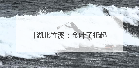 湖北竹溪：金叶子托起田埂上的“致富经”