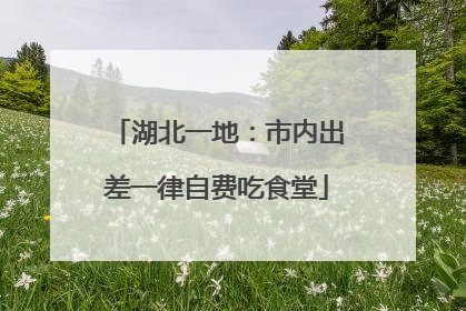 湖北一地：市内出差一律自费吃食堂