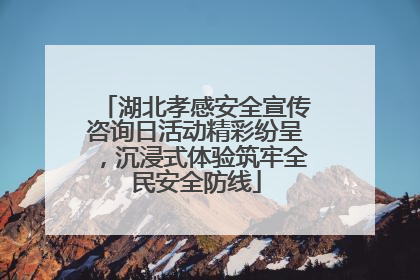 湖北孝感安全宣传咨询日活动精彩纷呈，沉浸式体验筑牢全民安全防线