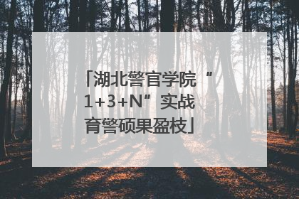 湖北警官学院“1+3+N”实战育警硕果盈枝