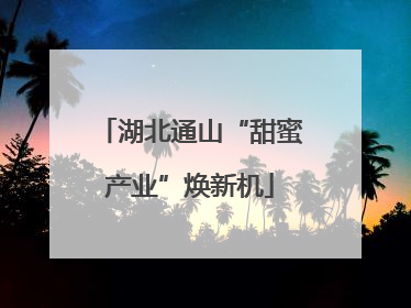 湖北通山“甜蜜产业”焕新机