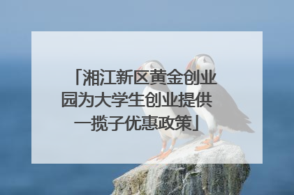湘江新区黄金创业园为大学生创业提供一揽子优惠政策