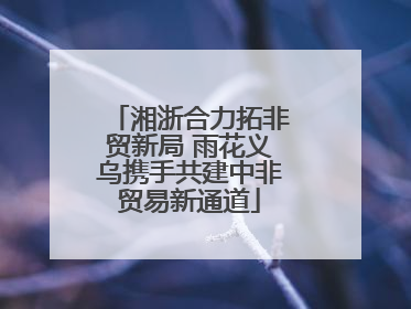湘浙合力拓非贸新局 雨花义乌携手共建中非贸易新通道