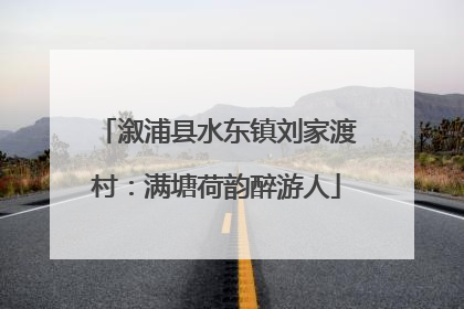 溆浦县水东镇刘家渡村：满塘荷韵醉游人