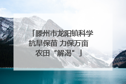 滕州市龙阳镇科学抗旱保苗 力保万亩农田“解渴”