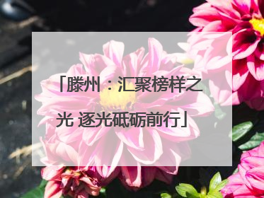 滕州：汇聚榜样之光 逐光砥砺前行