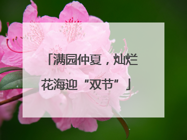 满园仲夏，灿烂花海迎“双节”