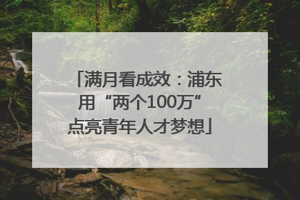 满月看成效：浦东用“两个100万”点亮青年人才梦想