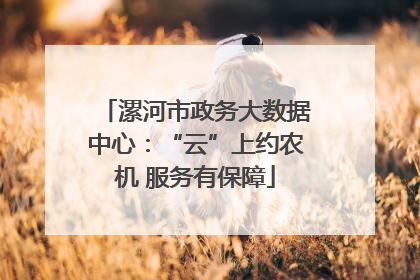 漯河市政务大数据中心：“云”上约农机 服务有保障