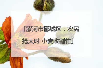 漯河市郾城区：农民抢天时 小麦收割忙