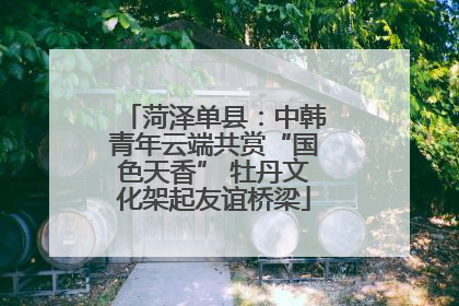 菏泽单县：中韩青年云端共赏“国色天香” 牡丹文化架起友谊桥梁