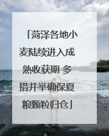 菏泽各地小麦陆续进入成熟收获期 多措并举确保夏粮颗粒归仓