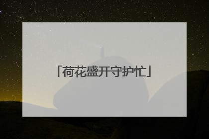 荷花盛开守护忙