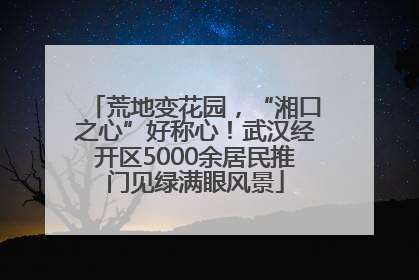 荒地变花园，“湘口之心”好称心！武汉经开区5000余居民推门见绿满眼风景