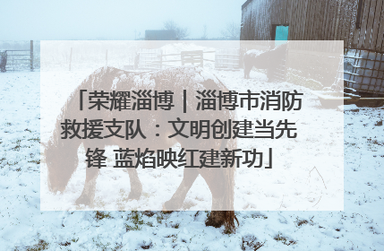 荣耀淄博｜淄博市消防救援支队：文明创建当先锋 蓝焰映红建新功