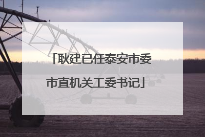 耿建已任泰安市委市直机关工委书记
