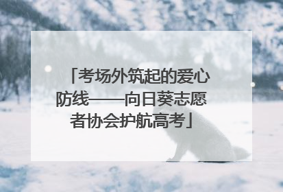 考场外筑起的爱心防线——向日葵志愿者协会护航高考