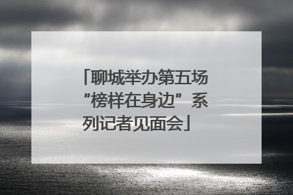 聊城举办第五场“榜样在身边”系列记者见面会