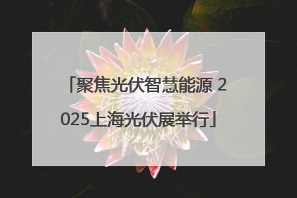 聚焦光伏智慧能源 2025上海光伏展举行