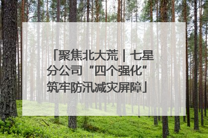 聚焦北大荒｜七星分公司“四个强化”筑牢防汛减灾屏障